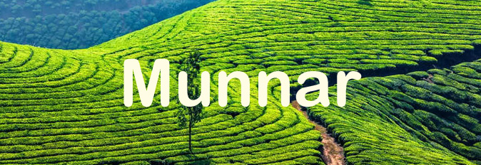 madurai travels kodaikannal munnar
