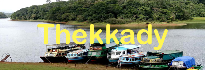 madurai travels kodaikannal munnar